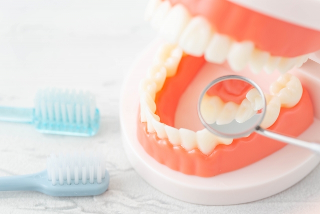 予防歯科で寿命が延びる？